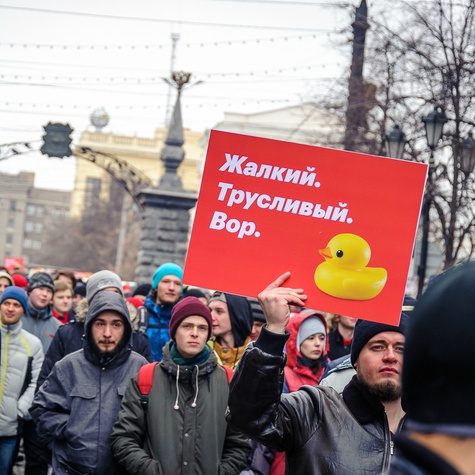 Плакат на митинге 26 марта
