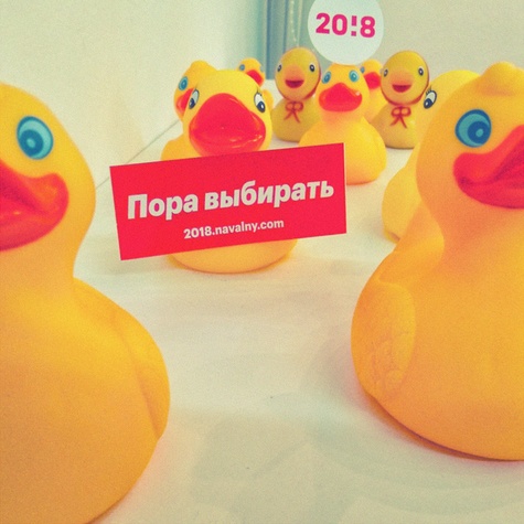 Шествие уточек